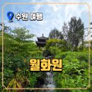 부용사주차장 | 월화원 주차부터 볼거리까지, 수원 가볼만한곳 완벽 정리