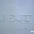 대풍목장 이미지