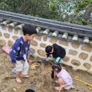 🌳비온뒤 맨발과 물웅덩이는 못참죠🌳 이미지