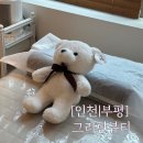 [인천] 부평 헤어라인 왁싱 그리핀뷰티 다녀왔어요!