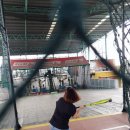 실내야구장 이미지