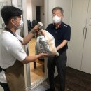 오리 경로당 이미지