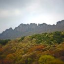 산외장터한우마을 이미지