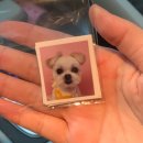 해피그래스 이미지