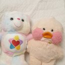 트루하트 | 💗트루하트 케어베어 후기🌈
