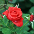 농협독산지점 이미지