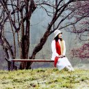 푸른상회 이미지