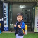 경희대태영태권도 이미지