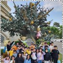 용인대우리태권도 이미지