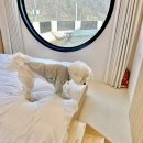 보느몽뜨 이미지