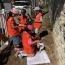 마성초등학교 이미지