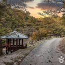 세심자연휴양림 이미지