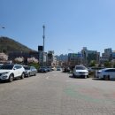 풍암호수공원 장미원 (옥외2) | 광주 풍암 호수공원 벚꽃 아기랑