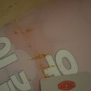 토요일날 뭐해? 연예인 보러가 일요일엔 뭐해? 연예인 보러가
