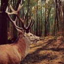 설백한의원 이미지