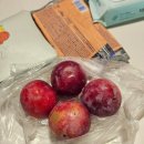 소로3-용운85 | [신혼여행-3] 혈당이 차올라서 고갤 들어 (카페 루브르 핫초코, Lokál U Jiráta, Café Kafíčko 꿀...