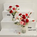 선꽃집