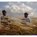 뚝길따라 이미지