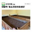 자연치유 | [분당 효소찜질] 야탑 효소자연치유센터 후기 | 요즘 핫한 효소찜질 드디어 해봤어요