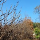 권철농장 이미지