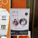 나비야사랑해 숨결나눔세미나 후기 | 우리 냥이 재채기, 그냥 넘기면 안 됐던 이유