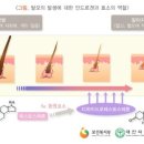 (주)리뉴메디 이미지