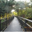 수 그린웨이 이미지