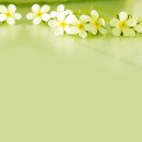 고와요 - 은평구 진관2로 15-8 | 고와요