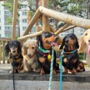 개러리아 송파점 이미지