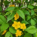 UR(파주시)-[후곡로]-상-19 | “야채가 이렇게 많다고?! 🥬 금촌 소담촌 샤브샤브에서 건강하게 폭식한 날”