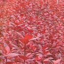 부농목장 이미지