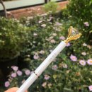 센트레스트 이미지