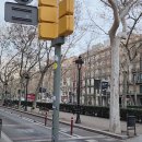6일차 바르셀로나 시내 산책및 로마 이동 이미지