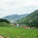 방동상회