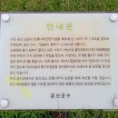 가든은행나무 이미지