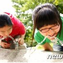 아리수유도 이미지