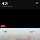 자유로 이미지
