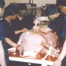 김재철농장 이미지