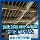 금치농장 | 경산 남천 에어컨 청소후기 전기세 아끼고 호흡기 건강 지키는 에어컨 분해 청소