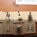 동강둔치행사장 이미지