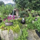 홈당골펜션 이미지