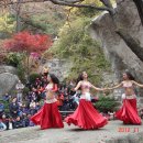 벨리댄스 이미지