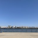 우드그라운드