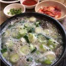 완도호랑가시나무 가로수길 | 남도예술정원 산이정원