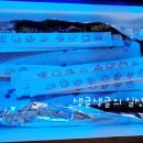 통제영5길 네이버블로그
