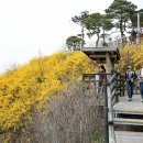 개나리공원1 이미지