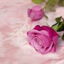 소소한향기 이미지