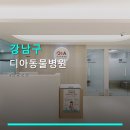 디아동물병원