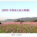코스모스환경 이미지