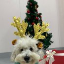 놀러오개 송파점 이미지